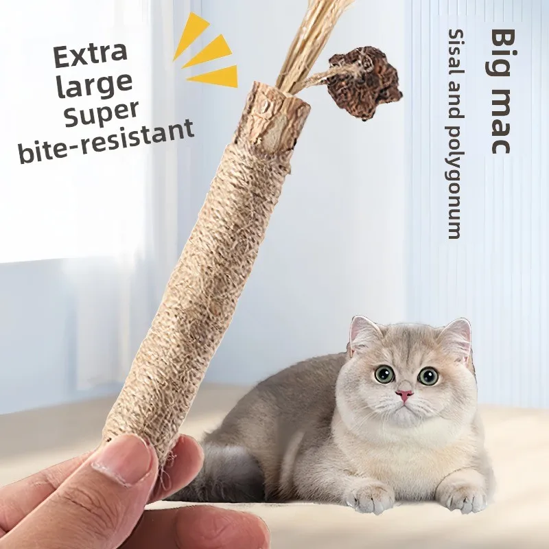 Natural Silvervine Cat Chew Sticks, Dental Care Teething Toys for Kittens, Boredom Buster Self-Play