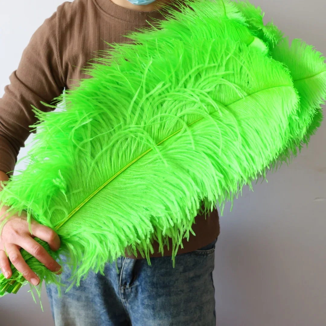 

10PCS Big Ostrich Feathers Apple green 65-70cm Craft Supplies Carnival Party DIY Costume Hair Accessories
