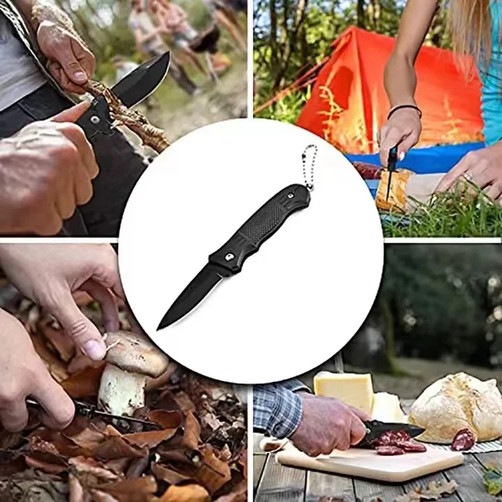 Outdoor Stainless Steel Small Knife Camping Survival Folding Knife High Hardness Portable Key Knife Multifunctional Knife Outdoo