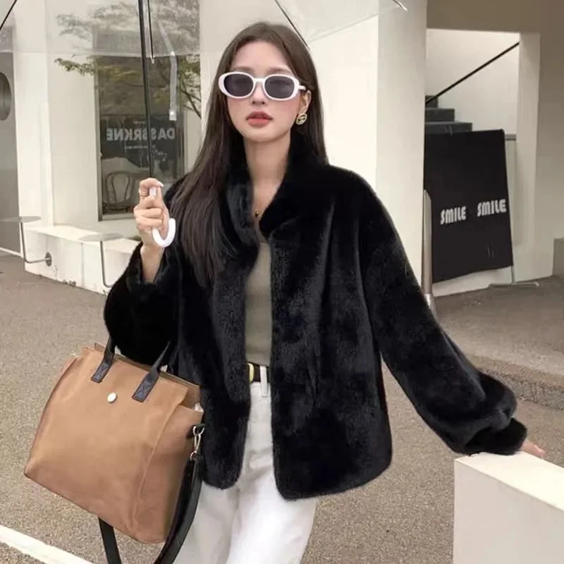 

Autumn Winter Ladies Casual Plush Jacket Korean Feminine Stand Collar Faux Fur Coat 2025 Women Fashion Long Sleeves Fur Outwear