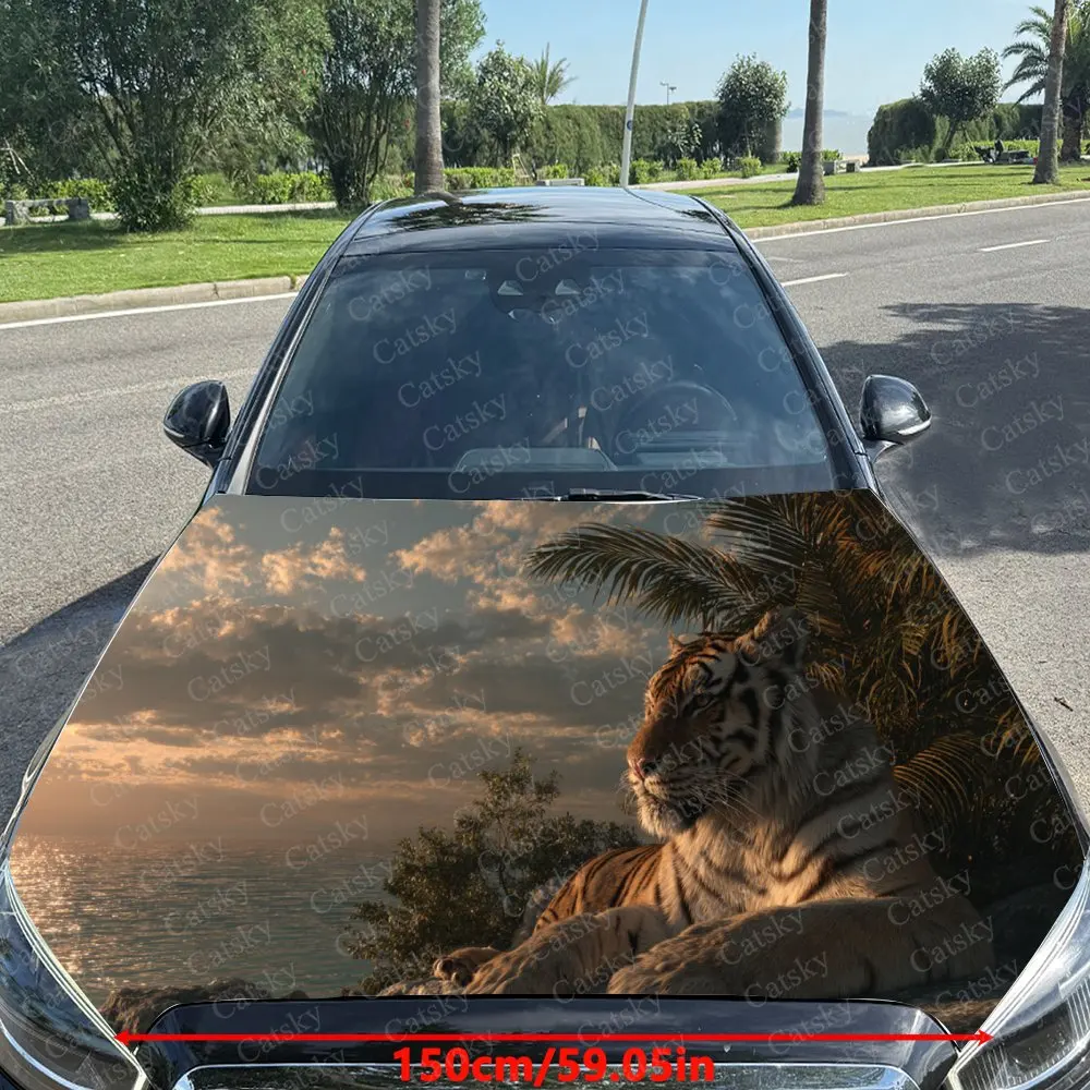 Ferocious Tiger in Golden Dusk Reflection Car Hood Stickers - Self-Adhesive, Waterproof and Durable Vinyl Wrap, Decorate And Pro