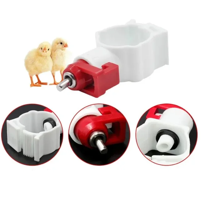 100PCS chicken nipple drinker  with automatic steel drinking head poultry equipment 6 points copper ball