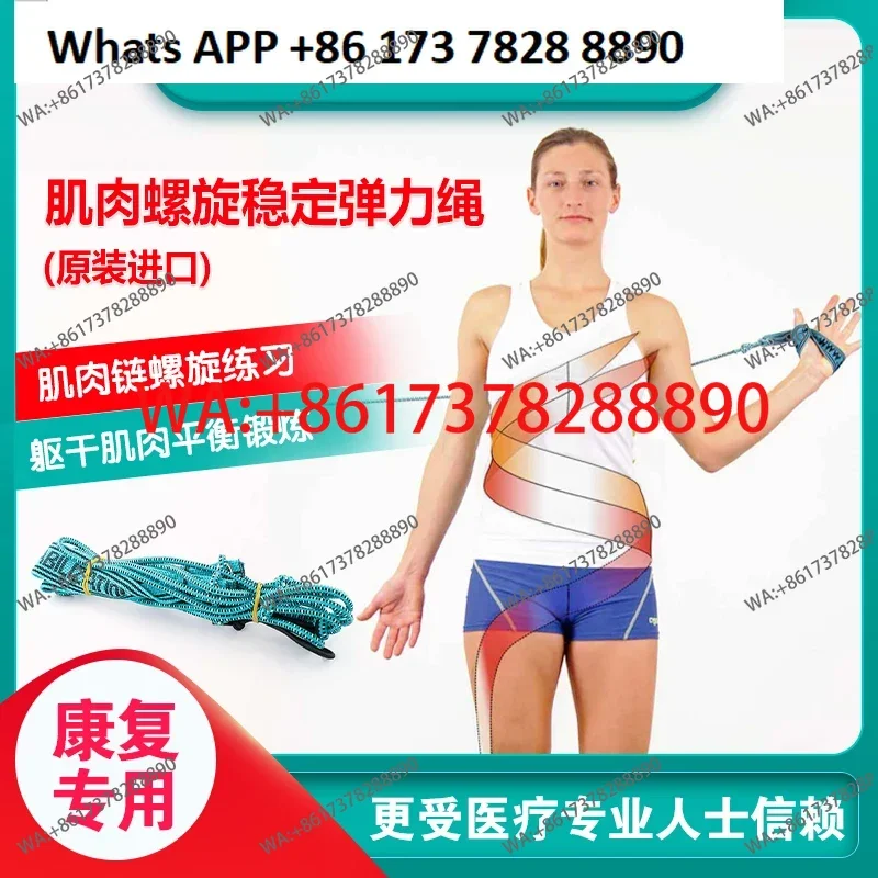 Imported spiral muscle chain training rope Stable elastic rope Czech primary training belt Spinal rehabilitation tension rope