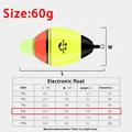 size 60g