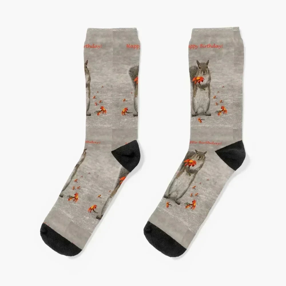 

Happy Birthday from Squirrel Socks bright garter new in's gym Girl'S Socks Men's