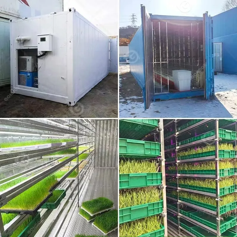 Grain Sprouting Tray Barley Sprout Make Production Line Grass Growing Hydroponic Fodder Equipment Cabinet Machine customize