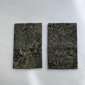 Lieutenant