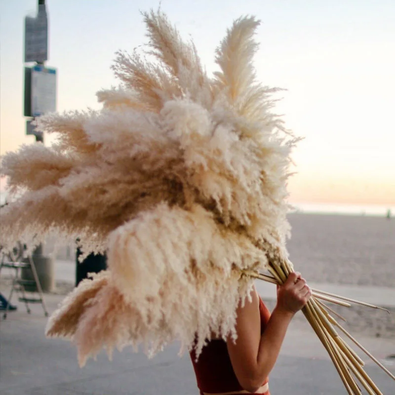 

Large Pampas Grass 48"Dried Flowers, Large Fluffy Natural Dried Pampas Home Boho Decor Country Wedding Pompas Floral Decoration