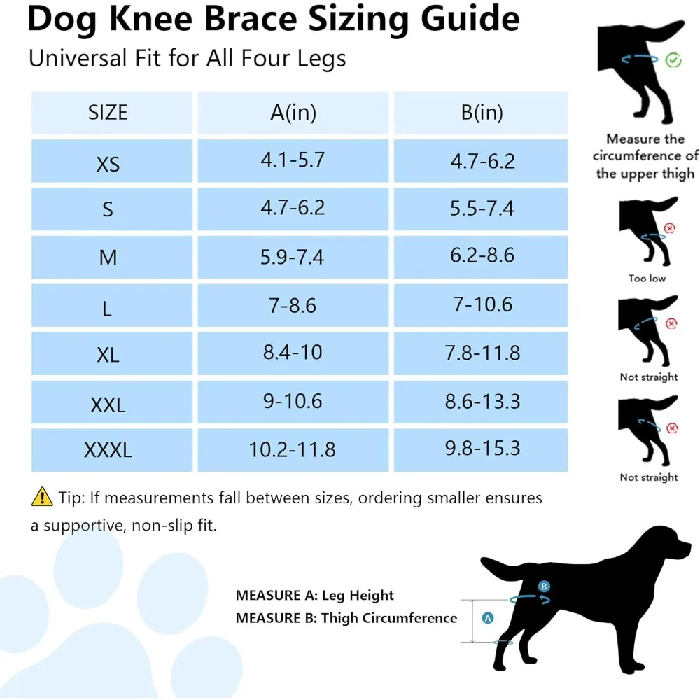Dog Knee Brace for Torn ACL/CCL & Hind Leg Support