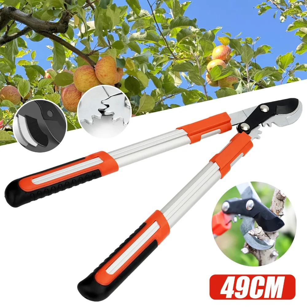 Sécatrices à cliquet robustes avec poignées ergonomiques, capacité de coupe de 30 mm pour l'élagage des jardins et des vergers – Idéales pour les personnes âgées ayant une force de préhension limitée, les jardiniers amateurs et les passionnés d'entretien des arbres fruitiers