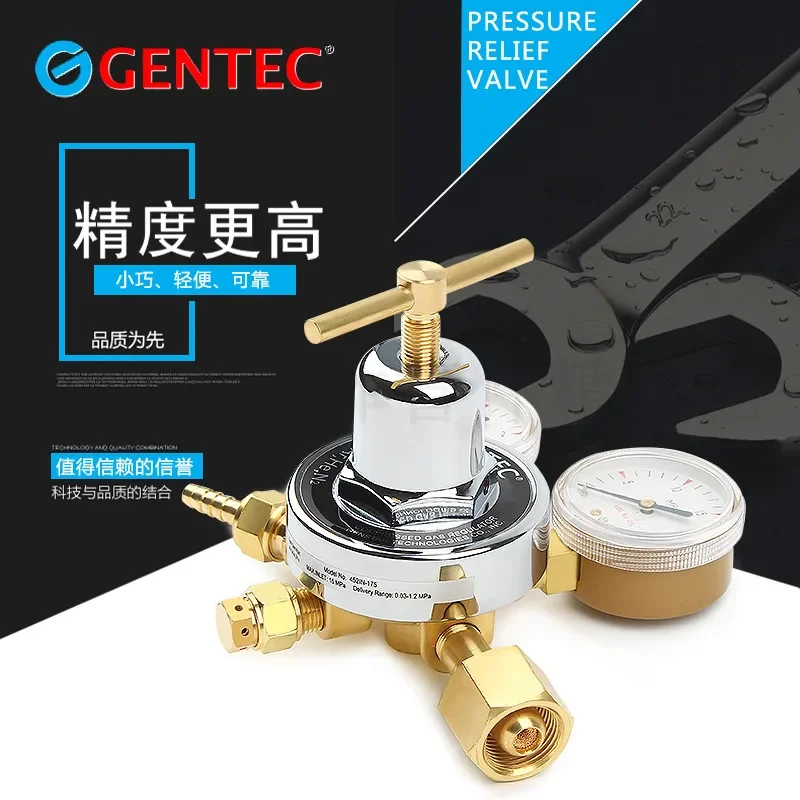 

GERUI Pressure Reducing Valve GENTEC 452IN-175 Nitrogen Pressure Reducing Valve Pressure Reducing Gauge