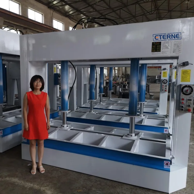 Woodworking with Pressing Presser Machine and Cold Glue Technology Plywood Cold Press Machine for
