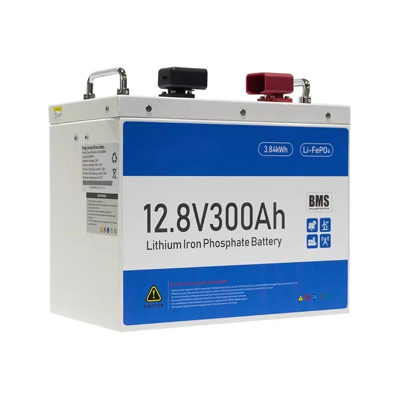 12V 300Ah 12.8V 100Ah  Lithium Ion Phosphate Batteries 20Ah 50Ah 200Ah 250Ah Solar Lifepo4 24v 12.8V Lithium Battery With BMS