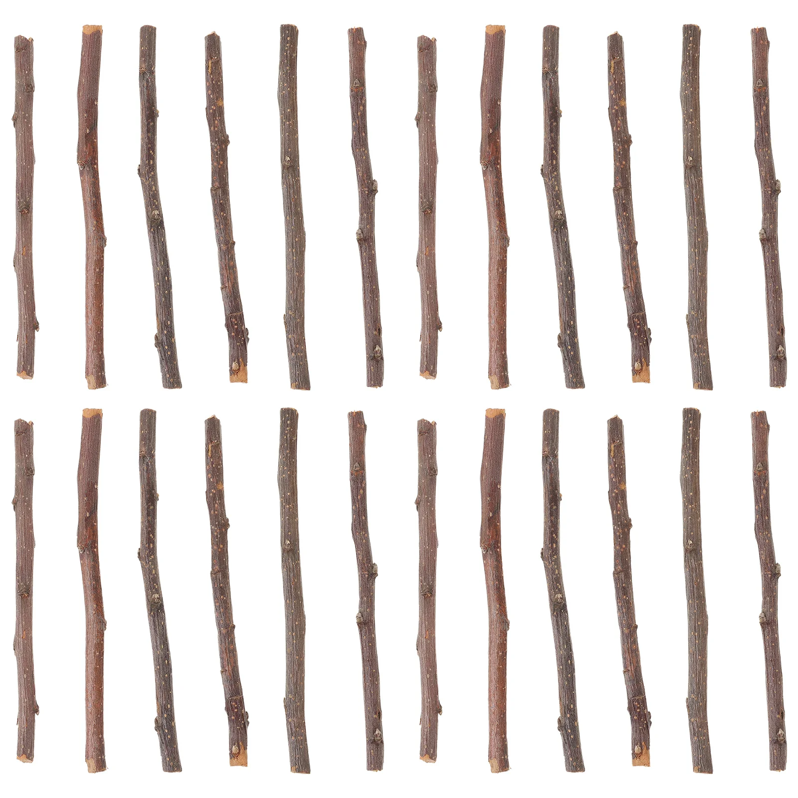 40 Pcs Photography Props Dry Branches Decor Natural Sticks Decoration DIY Crafts Log Wood Manual Wooden for