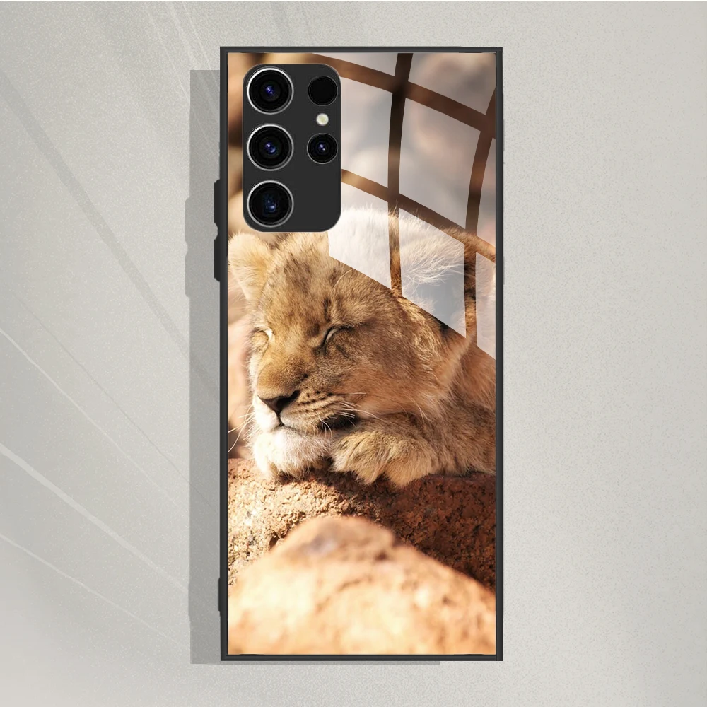Etui ze szkła hartowanego do Samsung Galaxy S24 Ultra Cover Etui na telefon Funda do Samsung Galaxy S24 S 24 Plus S24+ Pokrowce ochronne — zdjęcie 7