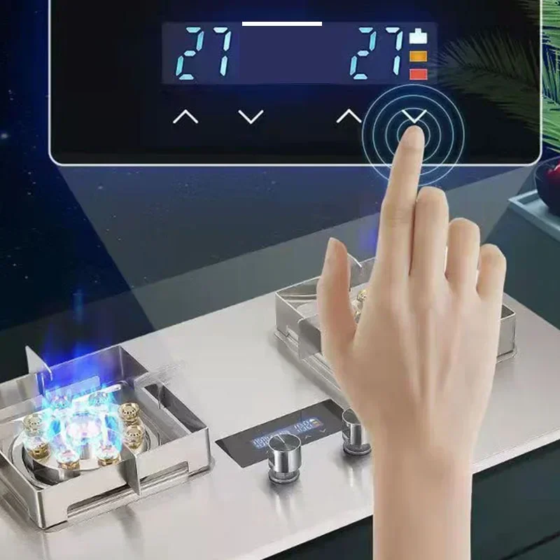 Desktop 220v 2 Pots Gas Stove Dual Use Embedded Table Natural Gas Liquefied Gas Cooktop Home Catering Equipment Tempered Glass E