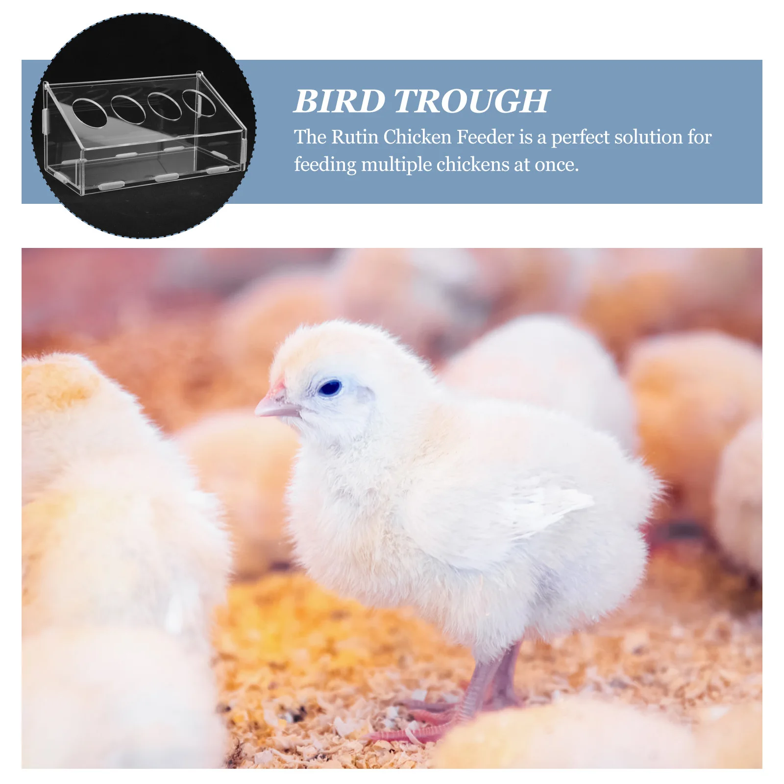 

Rutin Acrylic Chicken Feeder Practical Lightweight Feeding Trough Anti-Splash Bite Resistant for Bird Cage Quail Pigeon Parrots