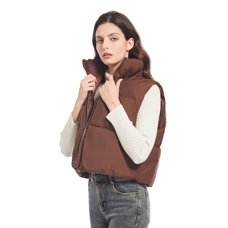 Thiened ort Svel Gilet in cotone Faion da donna Autunno Inverno Nuovo Sle Colletto alla coreana Vento Jaet in cotone transfrontaliero