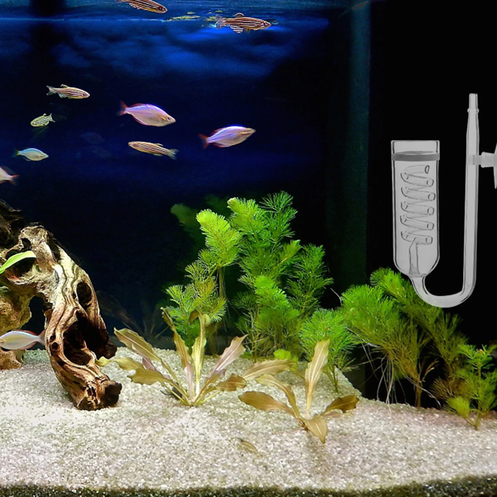 

1Set Aquarium Co2 Diffuser Glass Easy to Install Suction Cup Compact Size Suitable for Tropical Fish Health