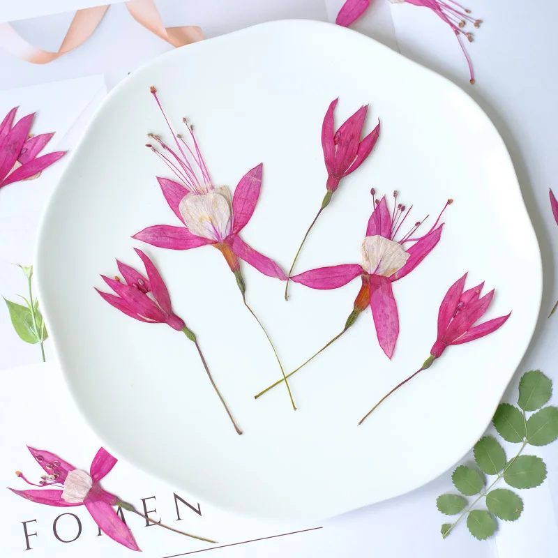 

12pcs,Nature Lantern Flower Dry Flower Decorative bookmark Material drip glue Sticker Table Lamp Candle phone case face decal