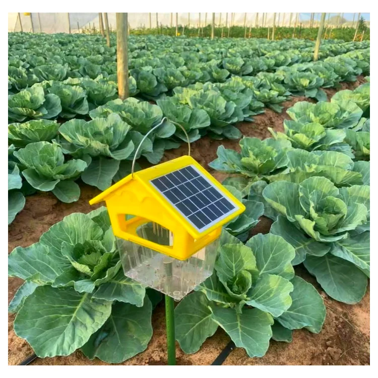 Top Selling Fly Trap Physical Control Farm Fly Trap Electric Solar Pest Killer For Orchards