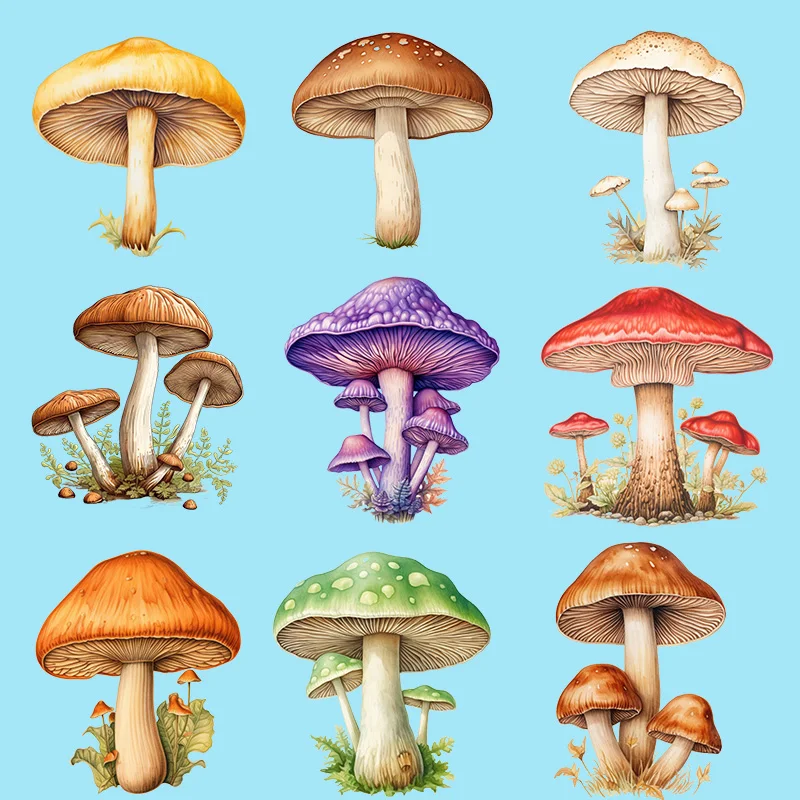 colour Mushrooms dtf  Iron On Patches For Clothing Heat Transfer On Clothes Heat Transfer Iron On Patches patches for clothing.