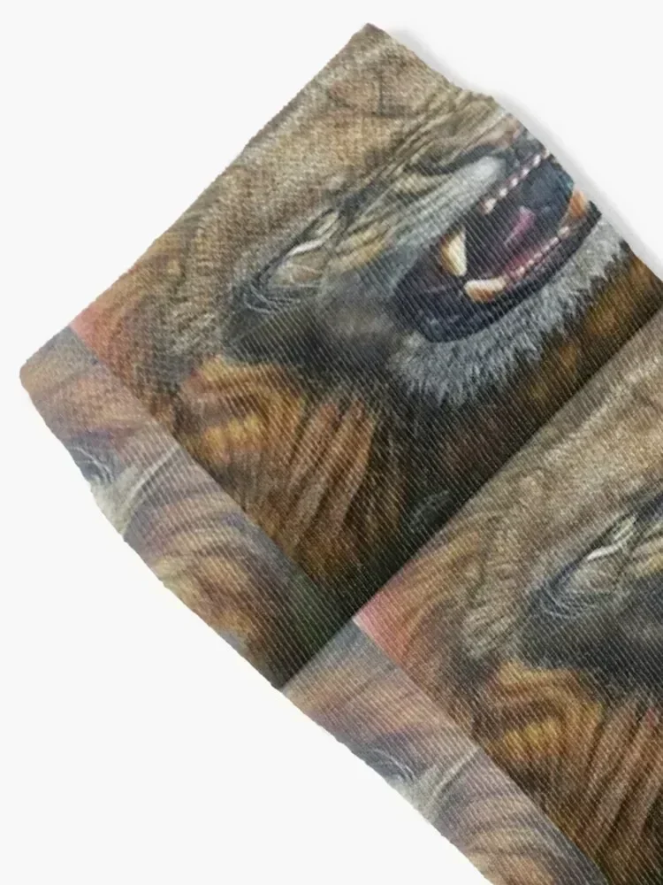 big lion Socks Wholesale christmas gifts gifts christmass gift Boy Child Socks Women's