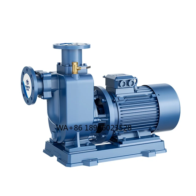 

PZW Series Self-priming Non-blocking Sewage Pump From for Dirty Water