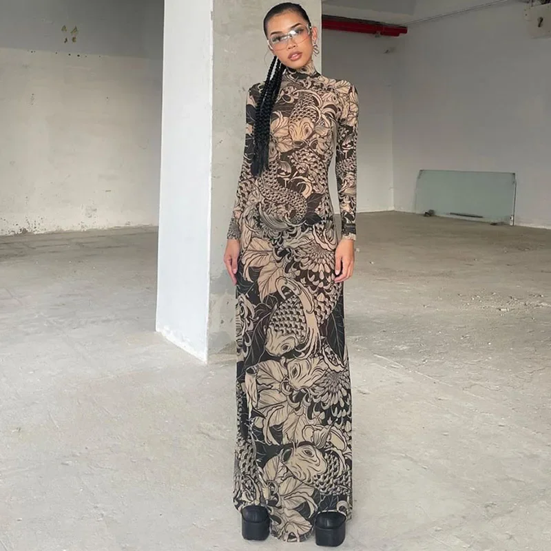 Streetwear Print Sheer Mesh Maxi Dress Women Y2K Clothing Long Sleeve Turtleneck Stretchy Trendy Club Party Long Dresses Vestido