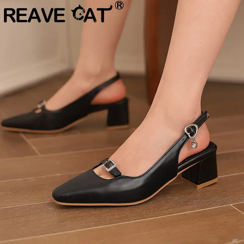 REAVE CAT Design Fashion Women Sandals Toe Buckle Strap Block Heels 5cm 48 49 50 Daily Female Shoes