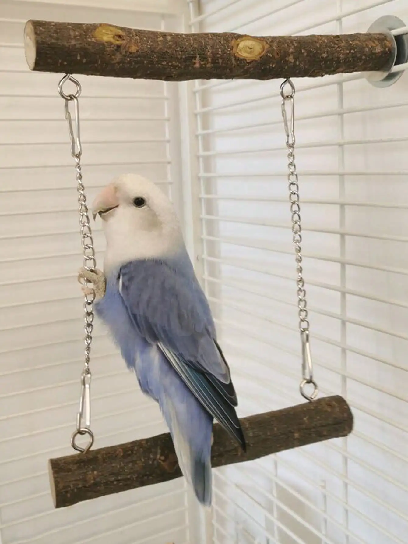 Thumbnail 4 - #32 Bird Perch Stands Comparison Guide