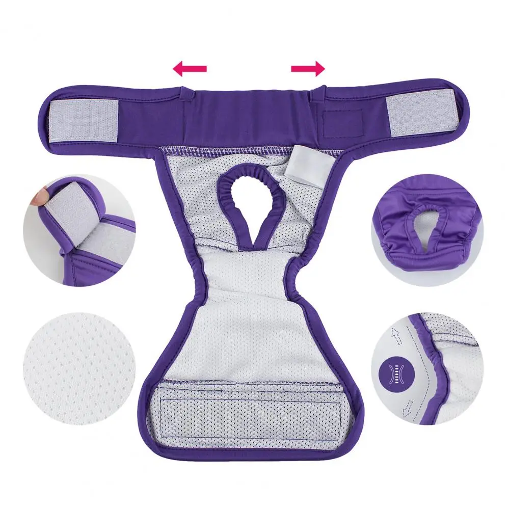 Female Dog Shorts Pet Products Physiological Pants Dog Supplies For Small Meidium Size Dogs Puppy Diaper Pet Underwear