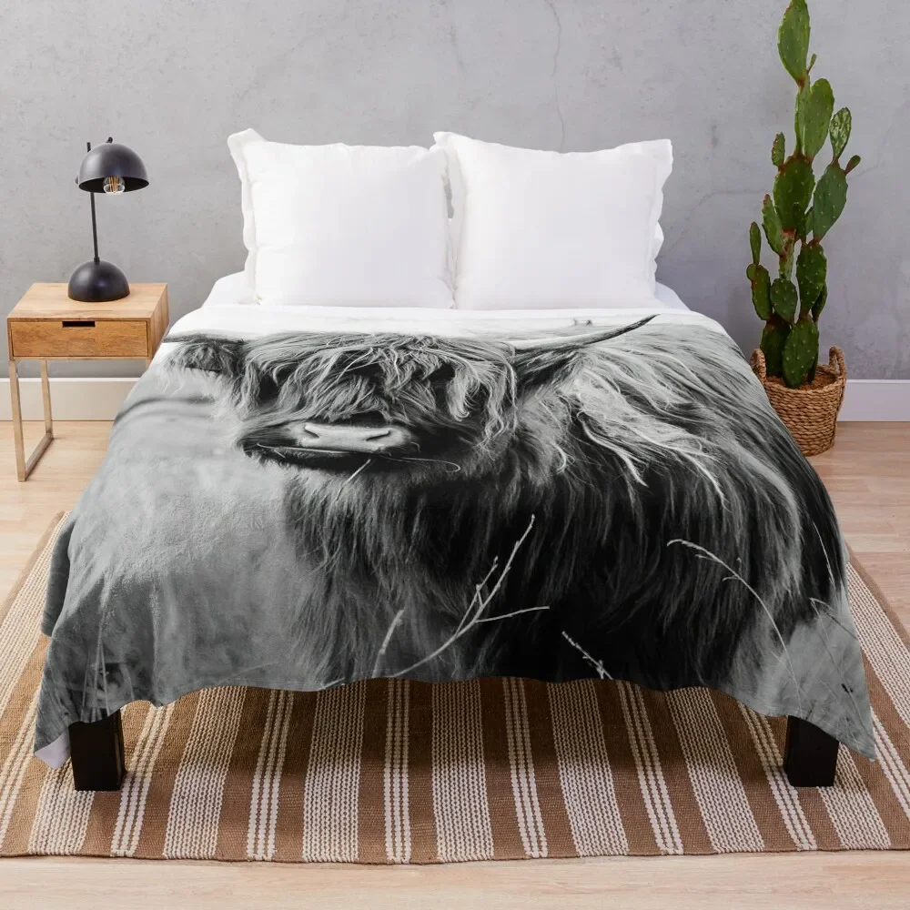 

Young Highland Cow Throw Blanket Bed Fashionable Decorative Beds Decorative Sofa warm winter Blankets