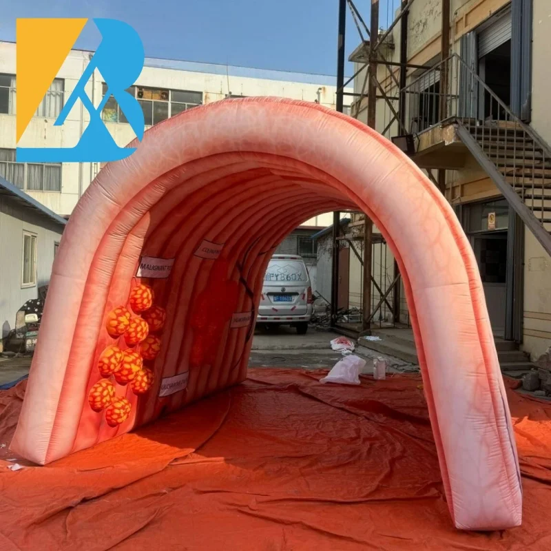 Bespoke Events Decorative Giant Inflatable Intestine Tunnel for Medical Exhibition Props Toys