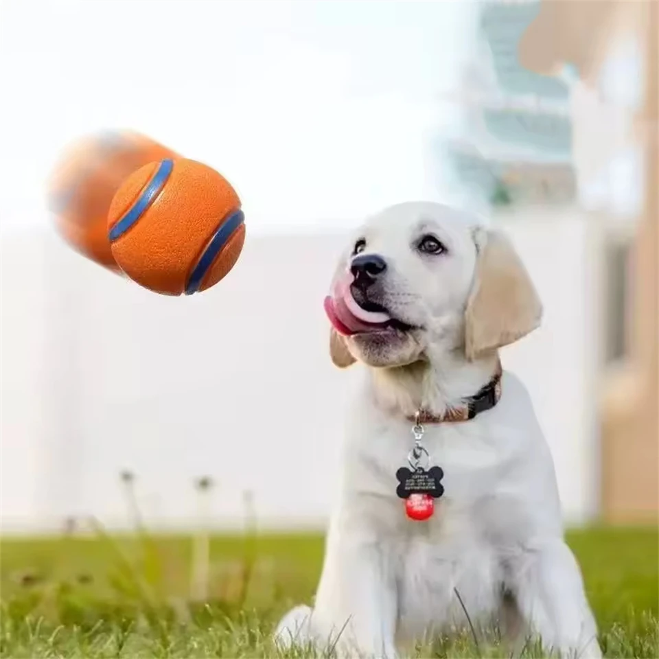 Robuste Hundespielzeuge, Bissfester Elastischer Springball zum Apportieren für Große, Mittlere und Kleine Hunde, Welpen-Kauspielzeug, Solides Haustierzubehör – Detail 4