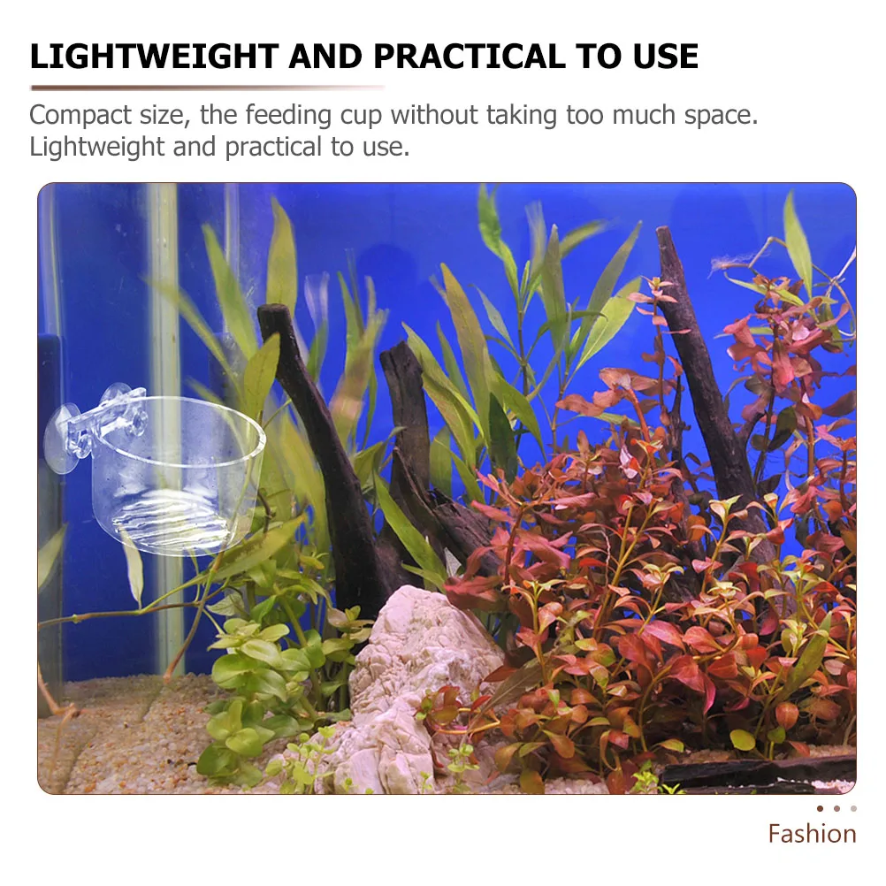 

Acrylic Feeder Red Worm Shrimp Feeding Dish Suction Cup Fish Tank Food Bowl Aquarium Accessory Fish Food Dish Aquarium Feeder