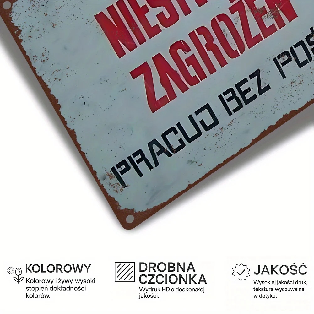 2D Flat, Vintage Metal Sign, Workshop Rules My Workshop, I Make The Rules, Polish Auto Repair Workshop Regulation Sign, Suitable