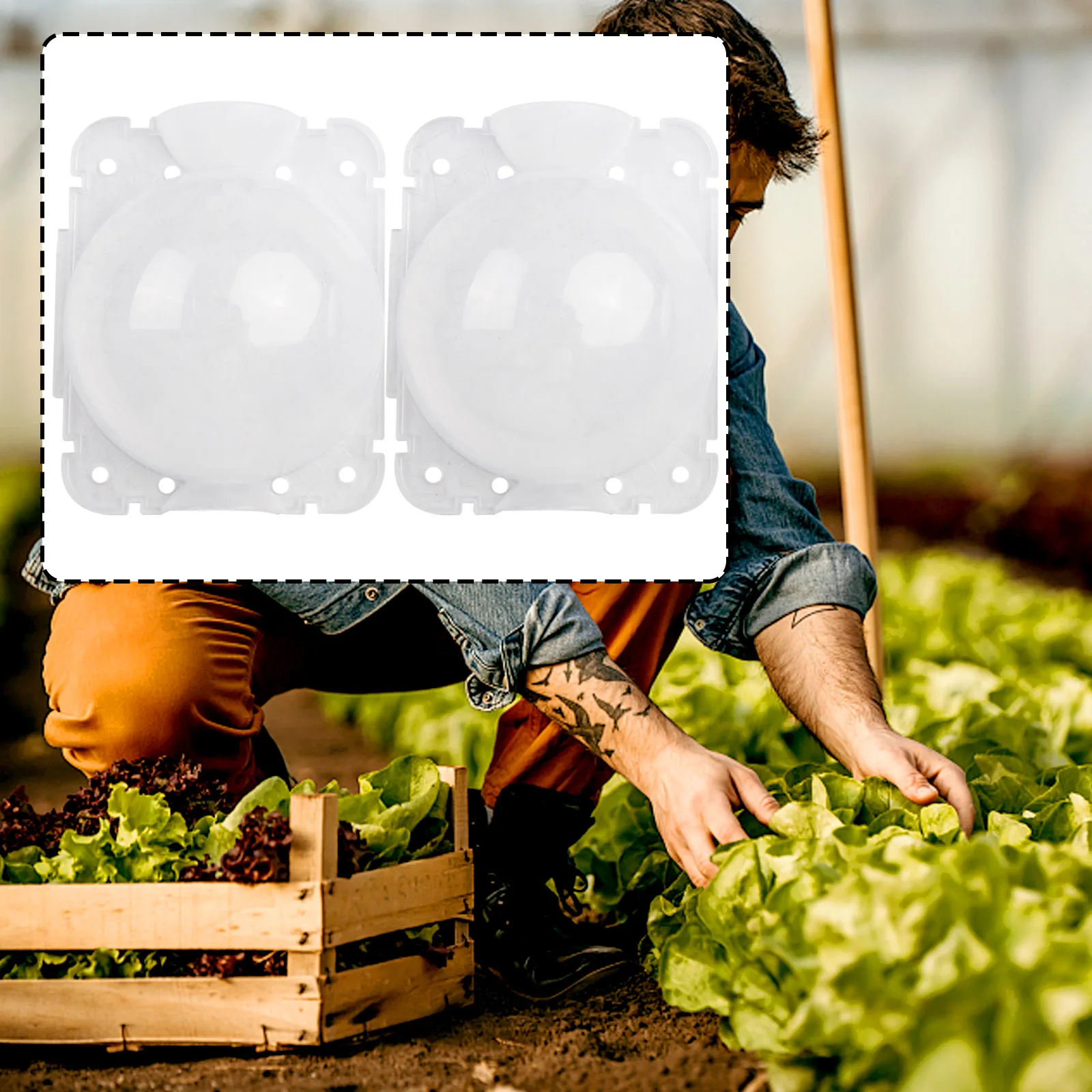 Air Layering Propagation Tool, Plants Successfully, Suitable for Fruit Trees, and Easy to Use 10pcs Air Layering