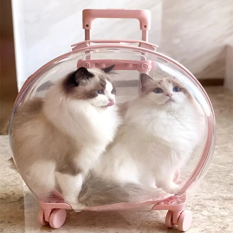 Large capacity cat and dog go out portable cat bag space capsule pet backpack transparent trolley case