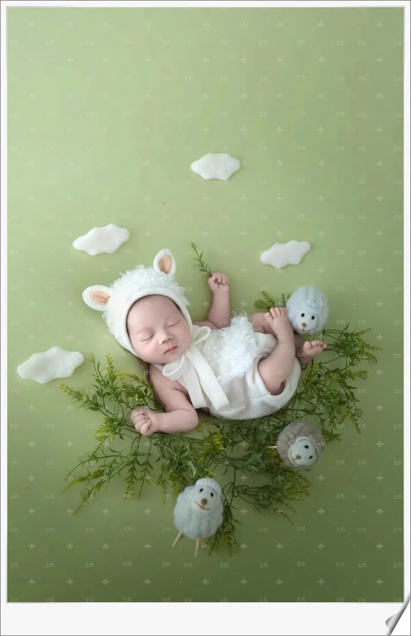 

Newborn Photography Props Studio Photography Theme New Full Moon Baby Baby Photography Clothes 신생아사진 baby kleding