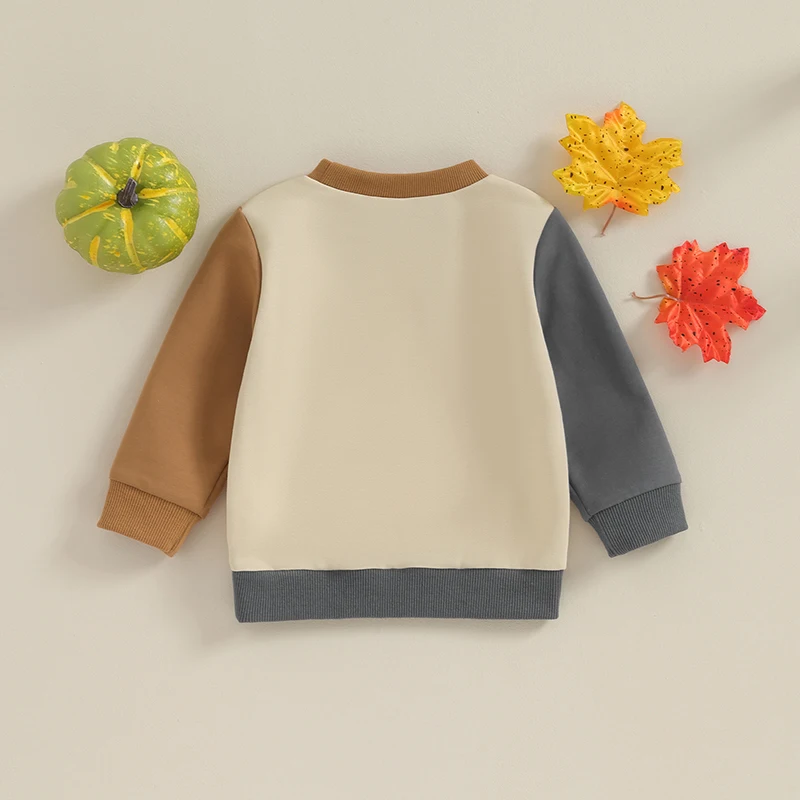 

Toddler Boy Girl Halloween Sweatshirt Long Sleeve Round Neck Pumpkin Letter Print Pullover Contrast Color Loose Tops