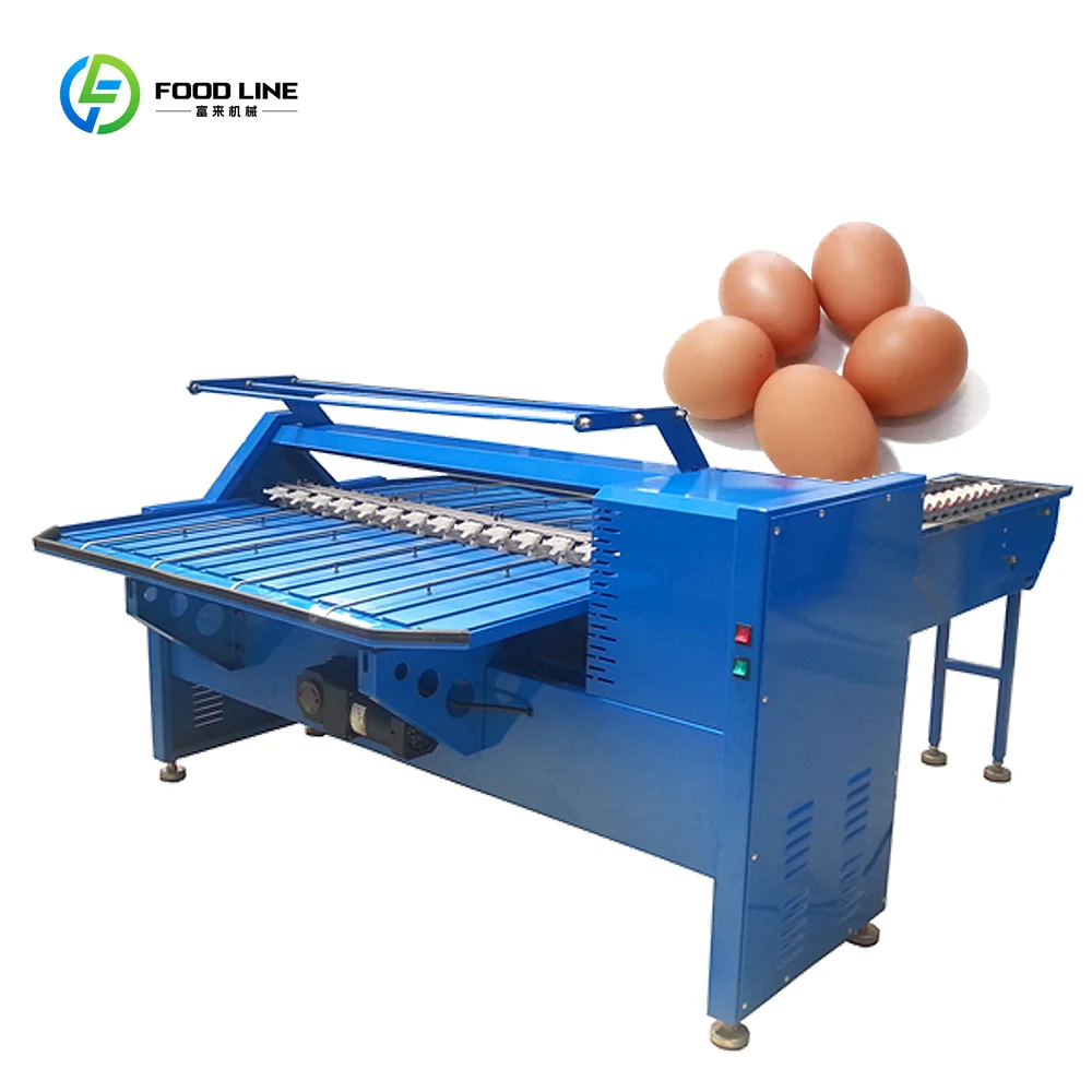 FOODLINE Customized Industrial Automatic Duck Egg Size Sorting Grader Mini Egg Grading Sorter Machine for Chicken Farm