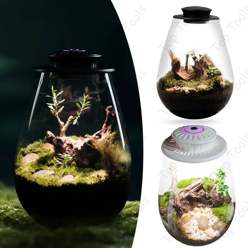 Glass Plant Terrarium with Growing Light Fern Moss Micro Landscape Vase Succulent Planter Glass Bottle Terrarium Home Decoration