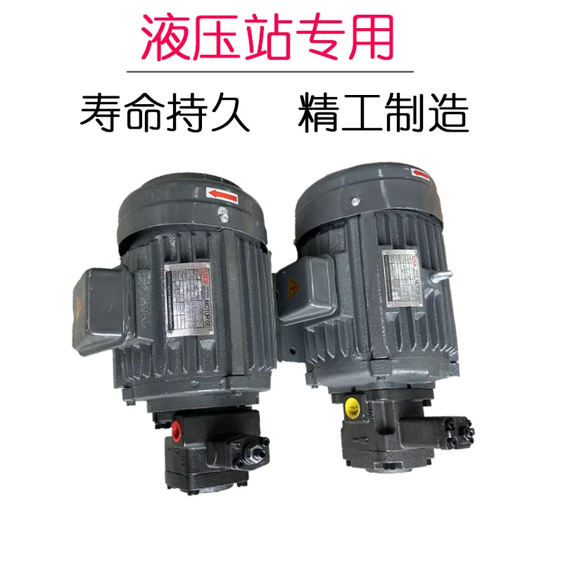 Hydraulic motor plug-in oil pump motor 0.75KW/1.5KW/2.2KW with VP20/VP15/VP30