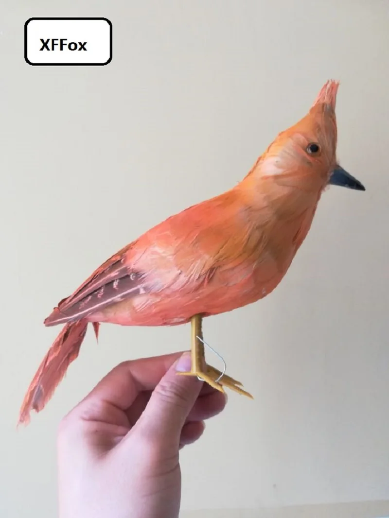 

real life brownish Pseudoseisura cristata model foam&feather simulation bird gift about 25cm xf0837