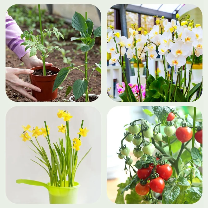 Plant Stakes,Plant Support Stakes Suitable For Indoor Plants,20Pcs Garden Green Bendable Single Stem Plant Sticks