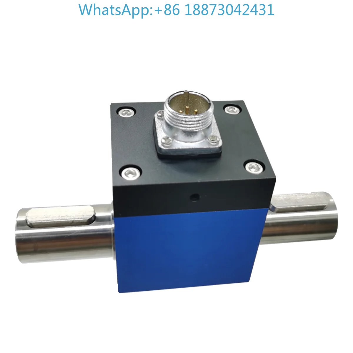 Chen Li Dynamic Tor…