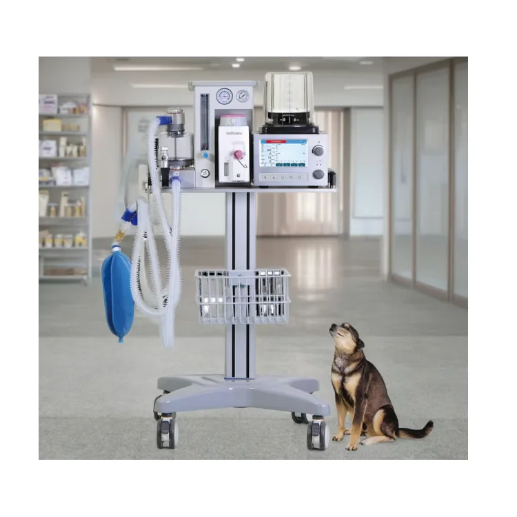 DM6B Hospital Mobile Animal Anesthesia Ventilator CE Approval Veterinary Anesthesia Machine For Pet Surgical Breathing