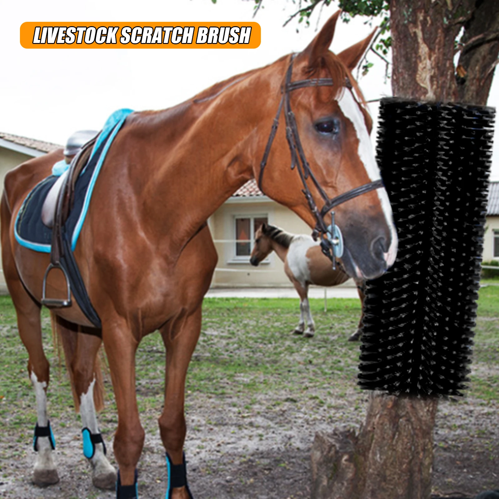 

Livestock Scratching Brush | 4 Pieces Dense Horse Scratching Brush | Flexible Anti-Itch Tool, Goat Scratcher, Includes Screws and Nuts | for Grooming, Massage