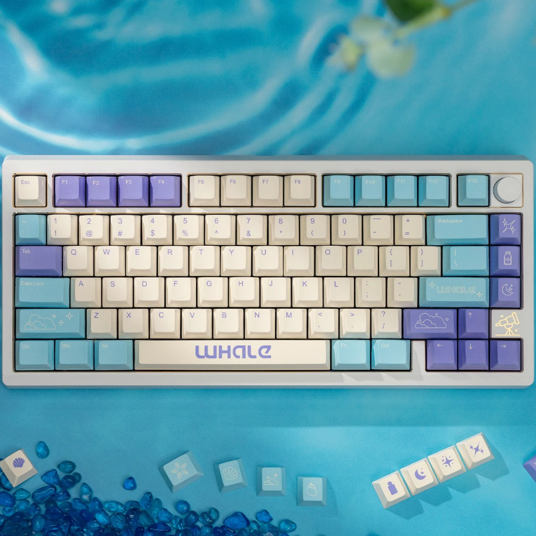 Imagem -06 - Wuquestudio Whale Keycaps Base Kit Pbt Keycaps Cereja Perfil Pbt Conjunto de Teclado Personalizado Iso Suporte Ansi 141 Chaves Dyesub